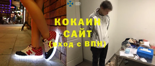 apvp Каменка