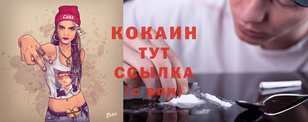 apvp Каменка