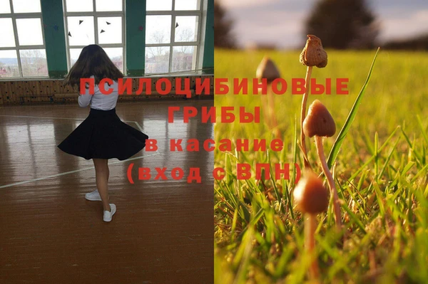 марихуана Каменногорск