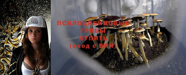 марихуана Каменногорск
