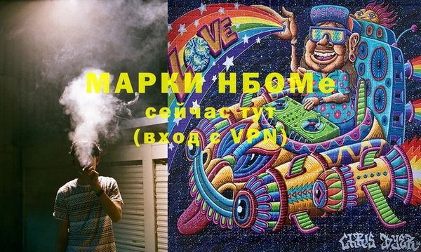 apvp Каменка
