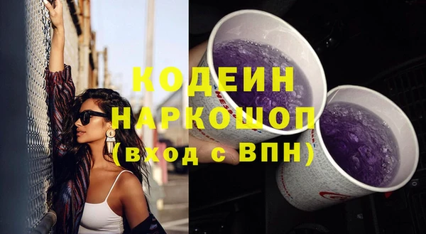 apvp Инта